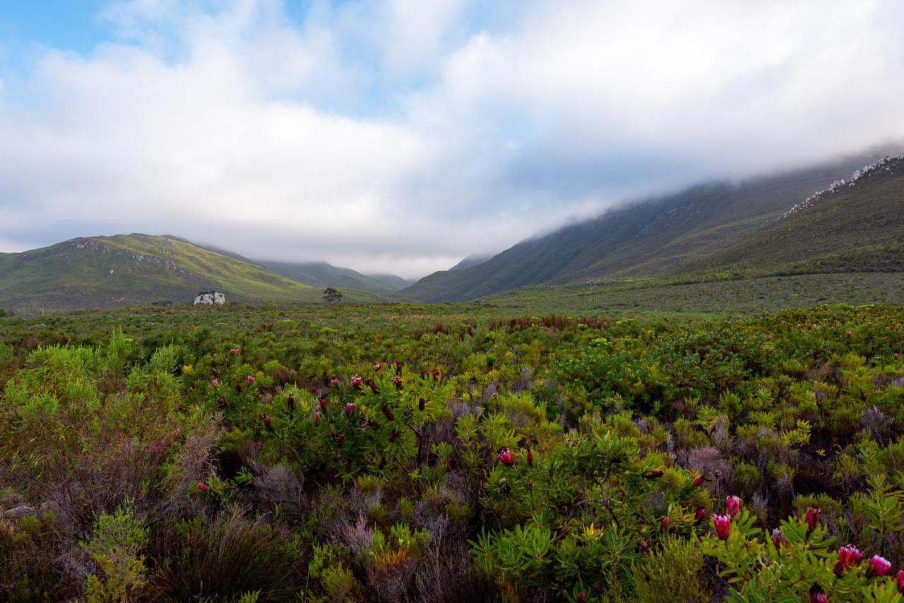 Honeyrock Cottages Kleinmond Buitenkant foto