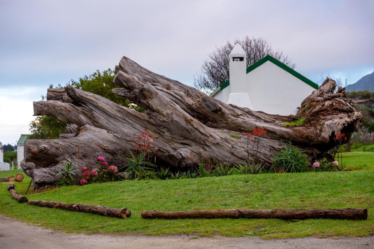 Honeyrock Cottages Kleinmond Buitenkant foto
